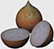 Onion 531kb.Zip includes textures.